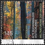 Vieilles forêts de hêtres d'Allemagne
