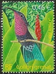 Colibri grenat