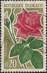 Rose rouge moderne