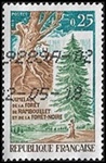 Jumelage de la forêt de Rambouillet et de la forêt Noire
