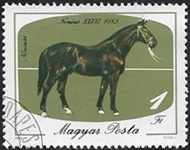 Nonius-36 - 1883