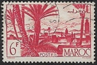 Marrakech 6