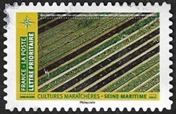 Cultures maraîchères - Seine-Maritime