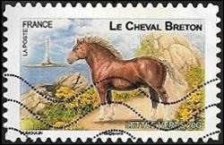 Le cheval breton