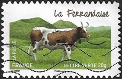 La Ferrandaise