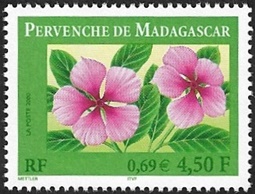 Pervenche de Madagascar