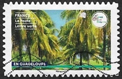 Randonnées pédestres en Guadeloupe