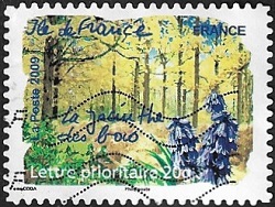 Ile-de-France - La jacinthe des bois