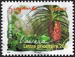 Guyane - L