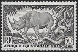Rhinocéros noir 30c