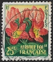 Tulipier du Gabon